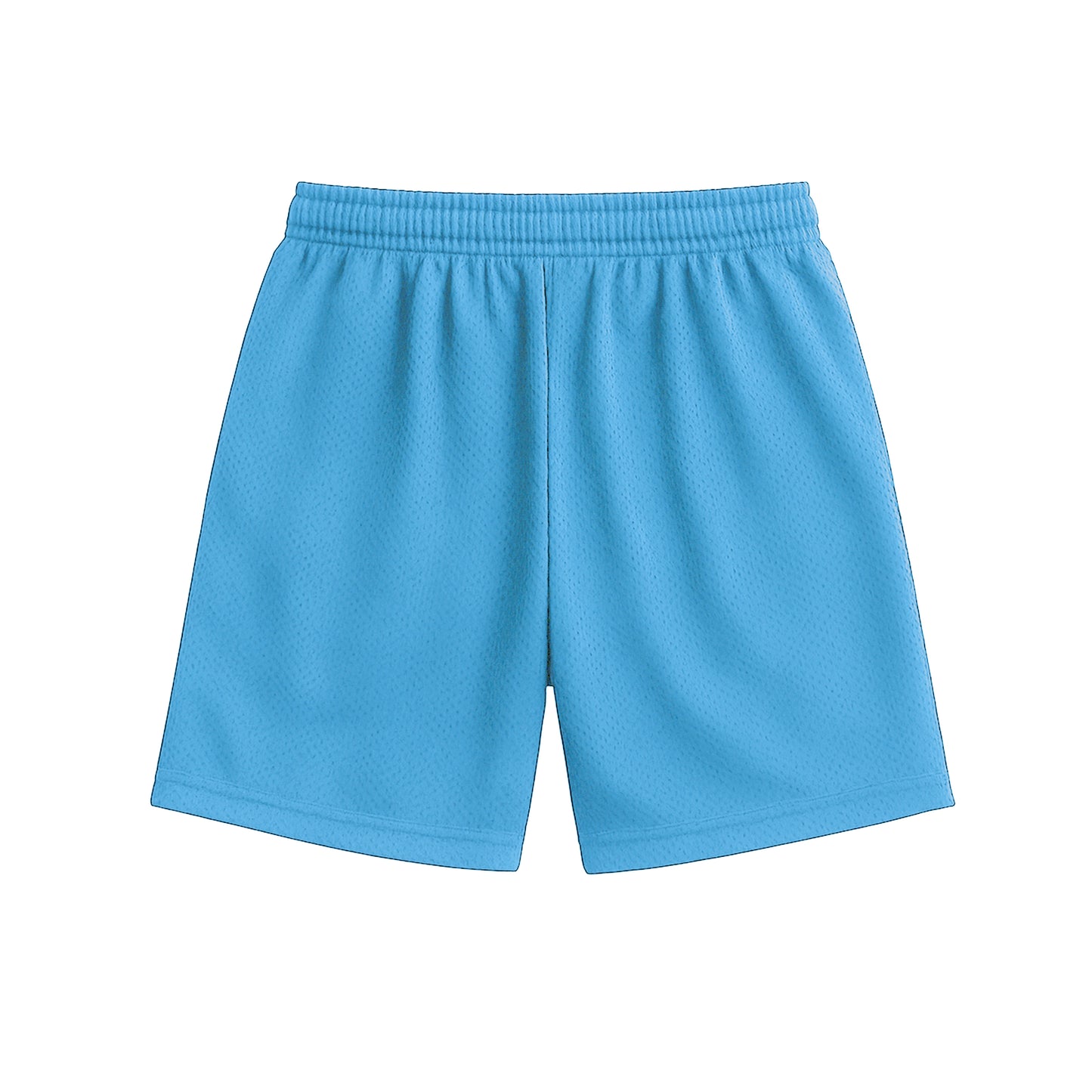 Emblem Shorts In Baby Blue