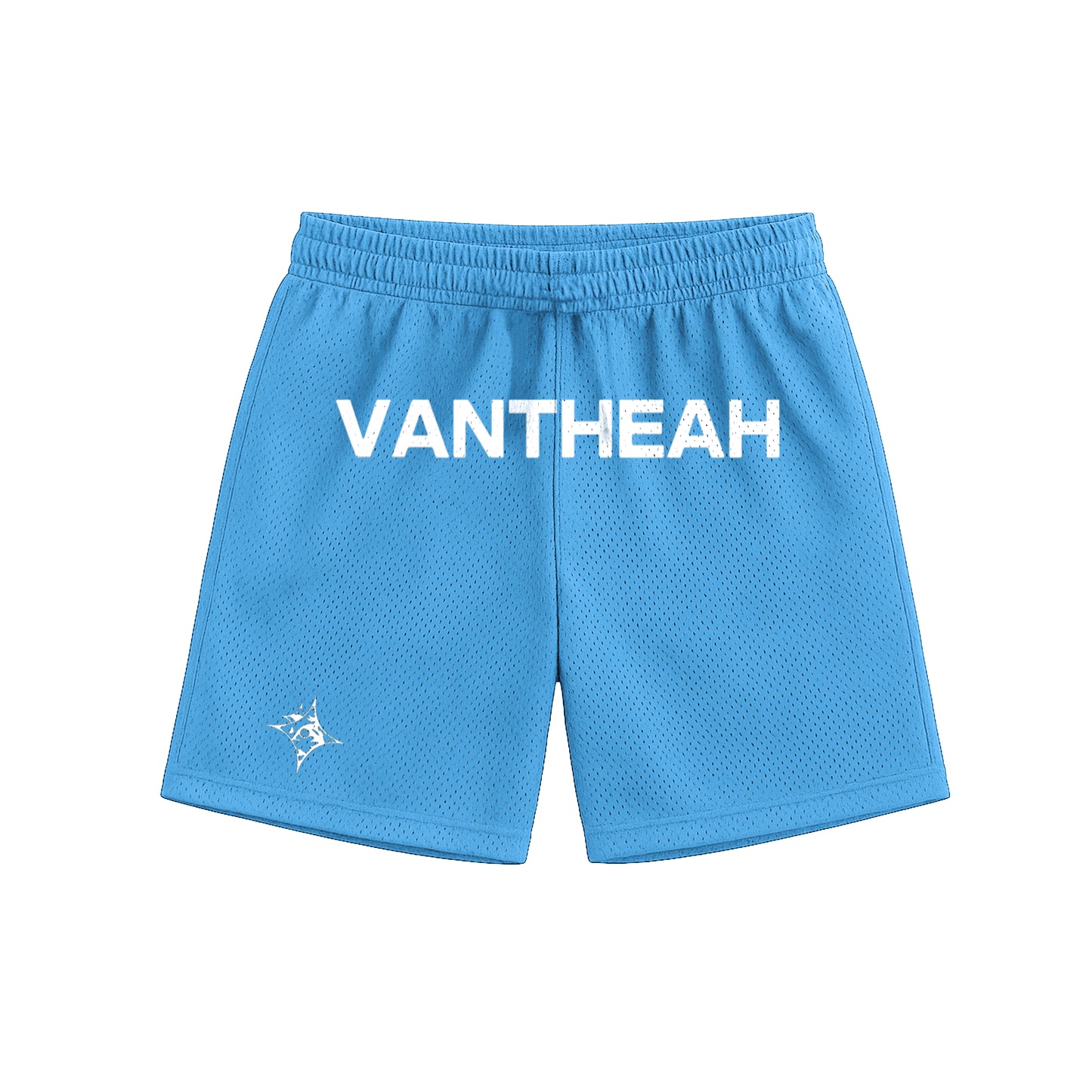 Emblem Shorts In Baby Blue