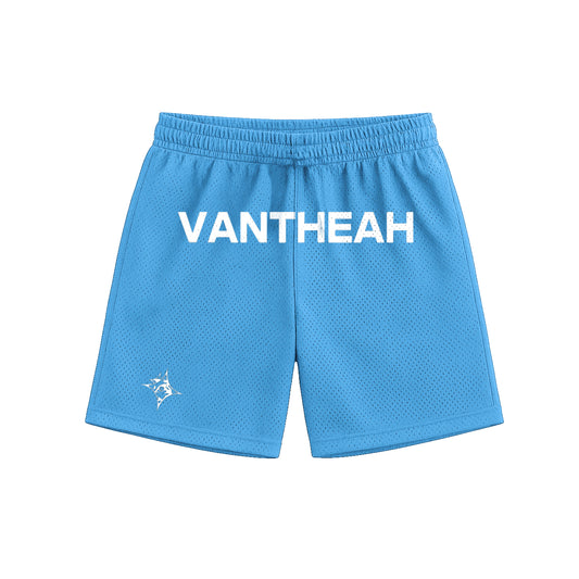 Emblem Shorts In Baby Blue